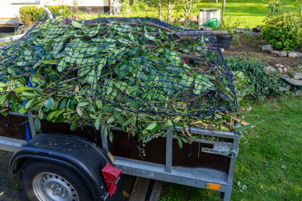 Best Hoarding Cleanup  in Ocean Ridge, FL